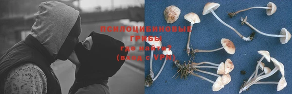 соль ск Алексеевка